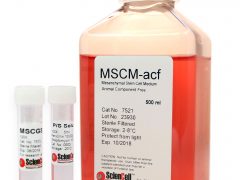 Mesenchymal Stem Cell Medium-animal component free (Cat. #7521)