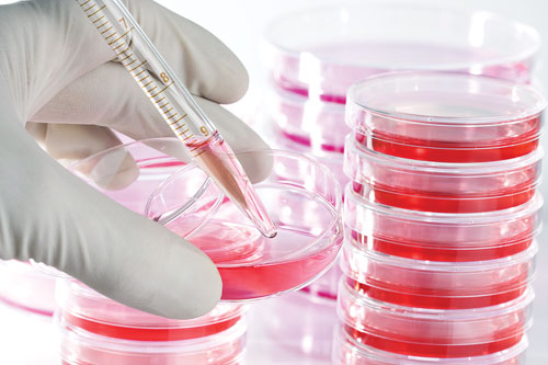 Cell Culture Media - ScienCell Research Laboratories