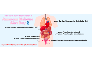 American Diabetes Alert Day