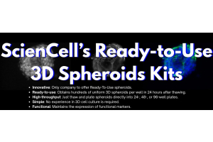 Ready-to-use 3D spheroid kits