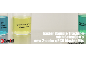 GoldNStart TaqGreen qPCR Master Mix