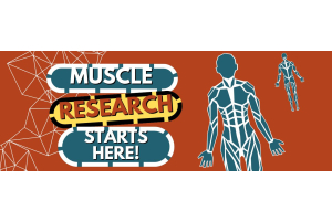 Muscle Research Starts Here!