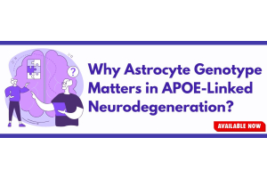 Why Astrocyte Genotype Matters in APOE-Linked Neurodegeneration?