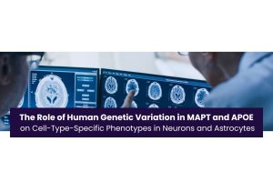 Role of Human Genetic Variation i MAPT and APOE