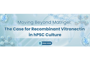 Moving Beyond Matrigel