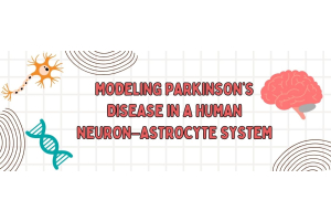 Building Better Parkinson’s Disease Models with Human Neurons & Astrocytes