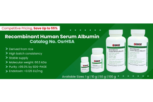 Recombinant HSA