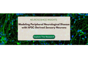 Neuroscience Insights