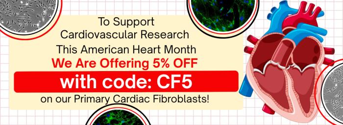 ScienCell is Supporting Cardiovascular Research This American Heart Month!