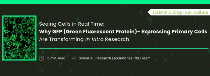 Why GFP (Green Fluorescent Protein)?