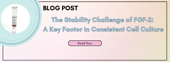 Stability Challenge Blog