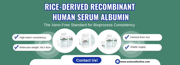 Rice-Derived Recombinant Human Serum Albumin