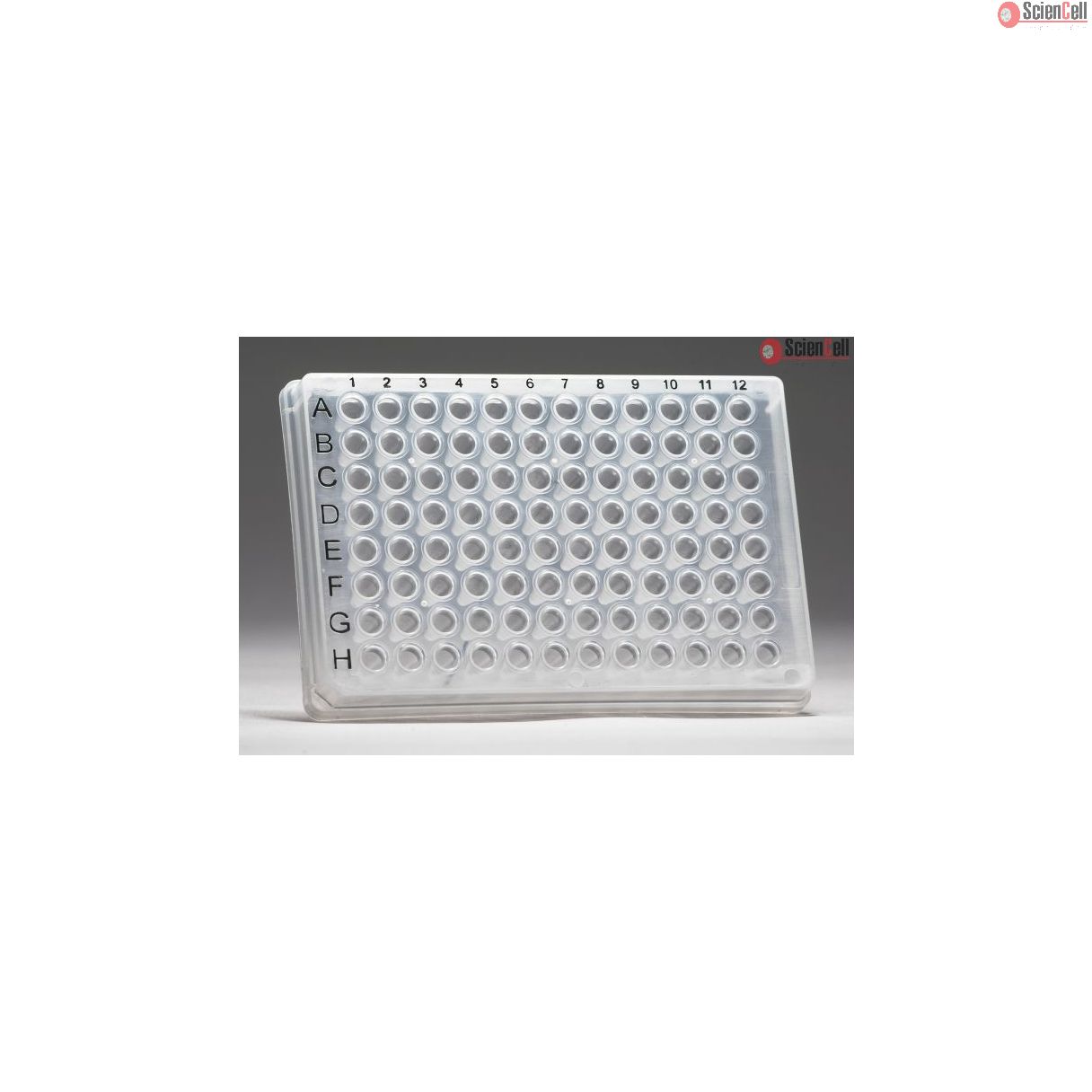 GeneQuery™ Human Cellular Senescence qPCR Array Kit | ScienCell