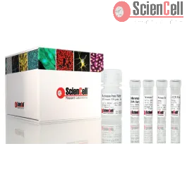 DNA Analogic Virtual Tube Digital Lab Analog 43s ENG 2022 04 22 - YouTube