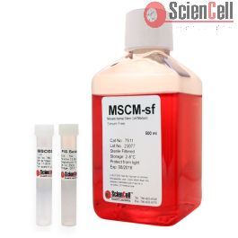 Mesenchymal Stem Cell Medium-serum free