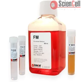 fibroblast-medium.webp