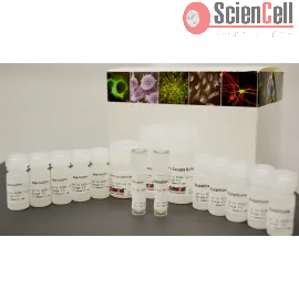 apex glutathione recycler side effects Amazon.com: Glutatione recycler, 90 Capsules : Health & Household