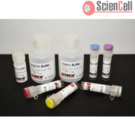 GSH/GSSG Ratio Assay