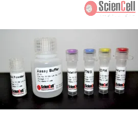 Total Glutathione Assay (TGA)
