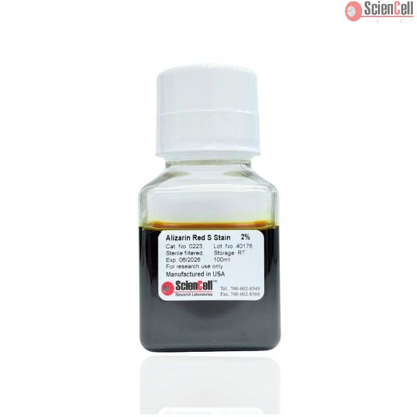Alizarin Red S Staining Kit