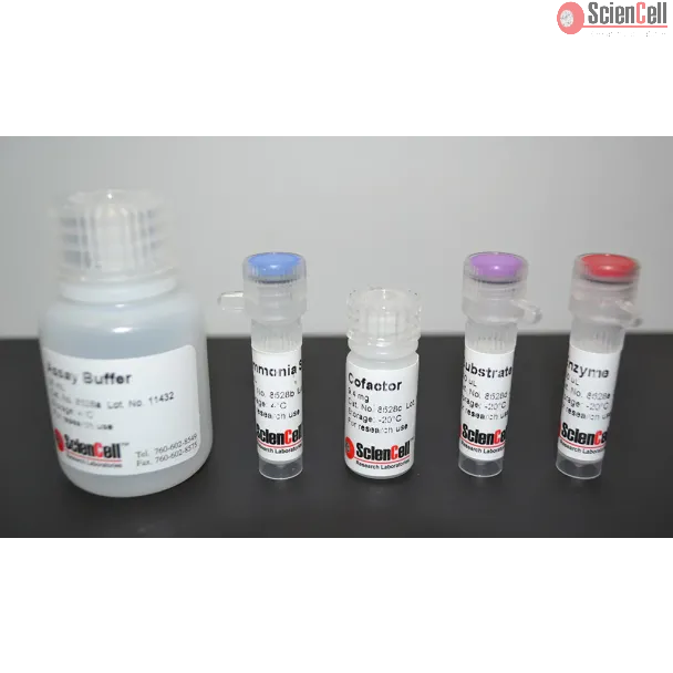 Ammonia Assay
