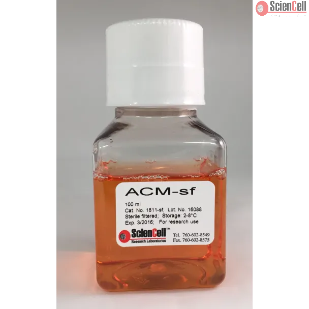 Astrocyte Conditioned Medium-Serum Free