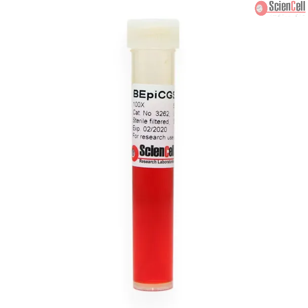 Bronchial Epithelial Cell Growth Supplement