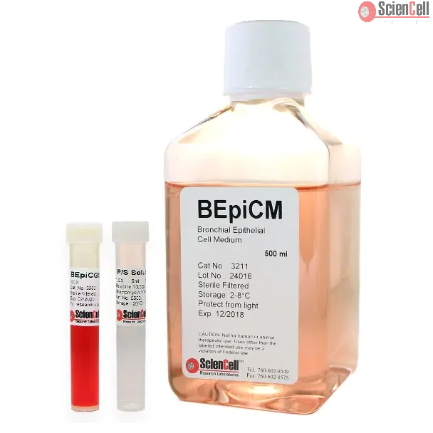 BEpiCM, Bronchial_Epithelial_Cell_Medium