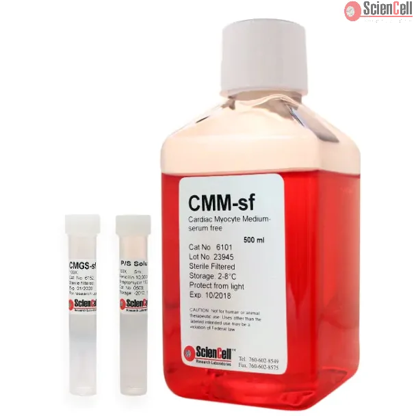 Cardiac Myocyte Medium-serum free
