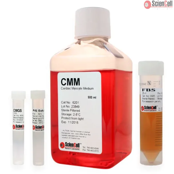 Cardiac Myocyte Medium