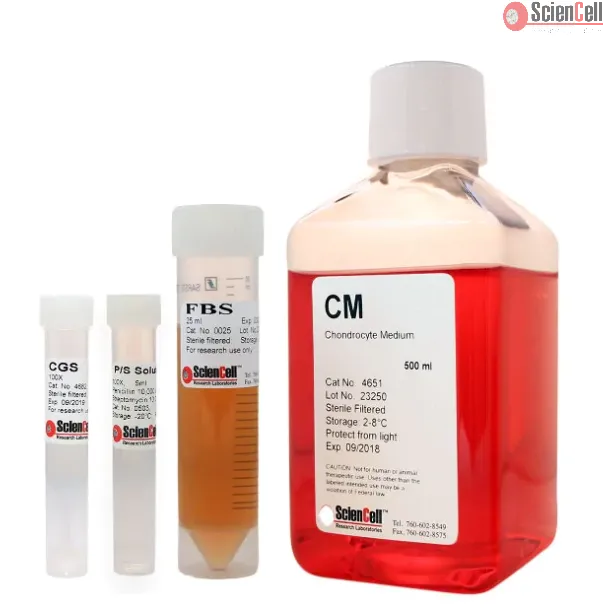 Chondrocyte Medium