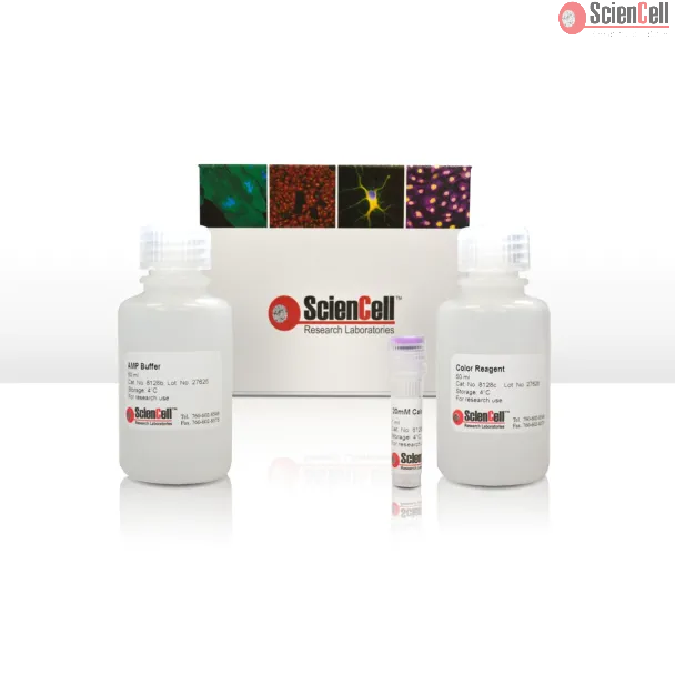 Colorimetric Calcium Assay