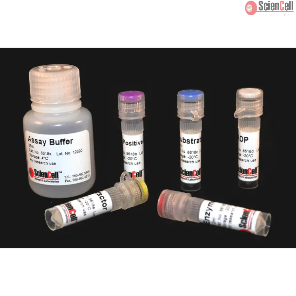 Creatine Kinase Assay