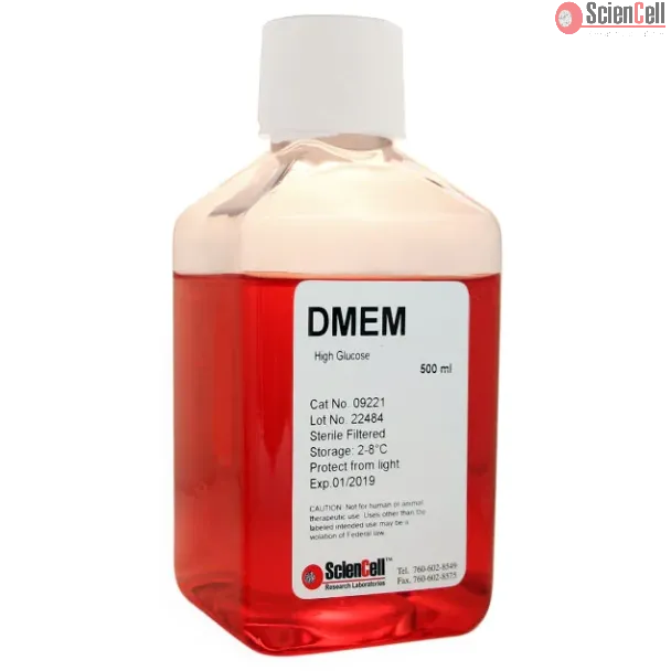 DMEM High-Glucose_L-Glutamine_Sodium Pyruvate