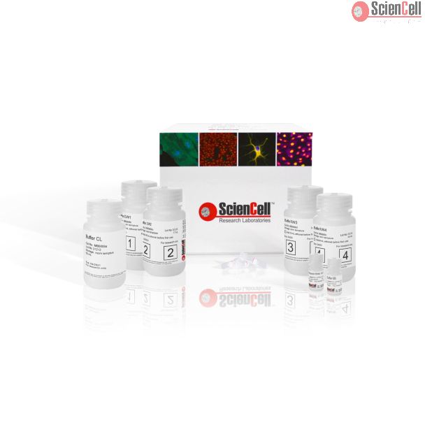 DualPrep DNA/RNA Isolation Kit, 100 preps
