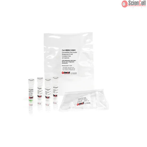 EmeraldNStart Site-Directed Mutagenesis Kit, 20 reactions