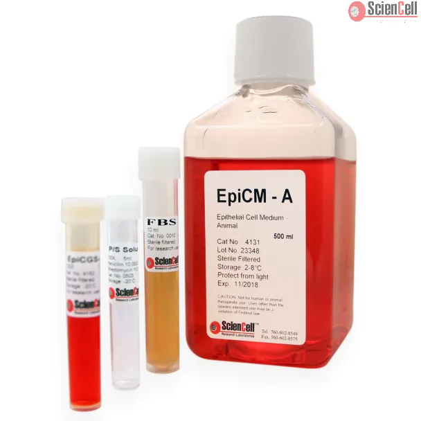 Epithelial Cell Medium-animal
