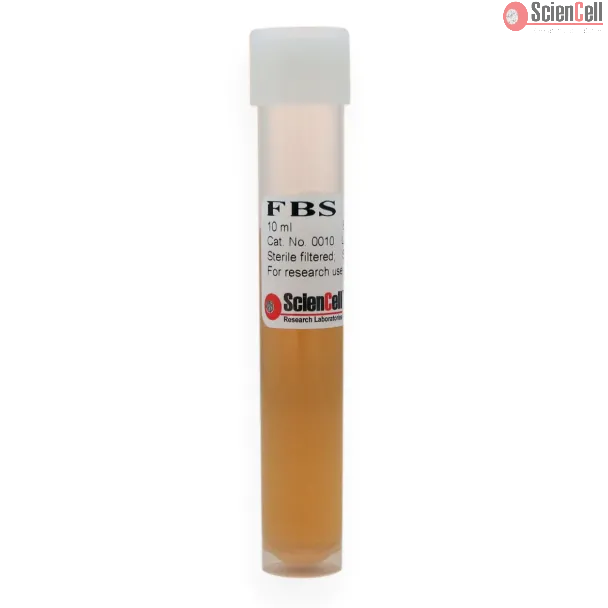 Fetal Bovine Serum, 10 ml