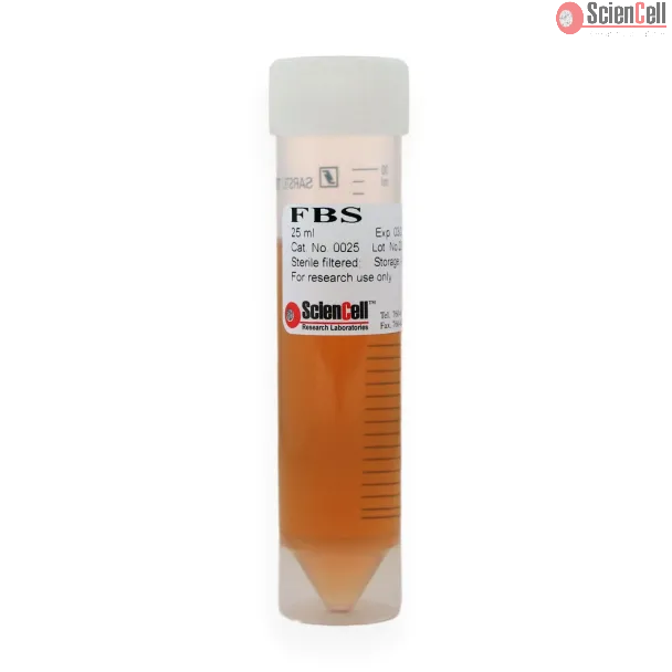 Fetal_Bovine_Serum 25 ml