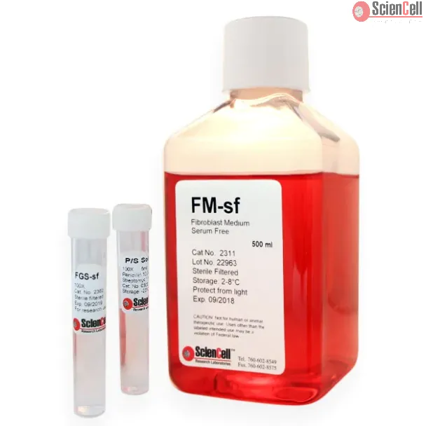 Fibroblast Medium-serum free