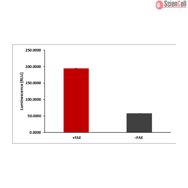 Firefly Assay Enhancer (100X)