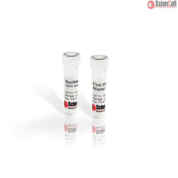 First-Strand cDNA Synthesis Master Mix, 4x