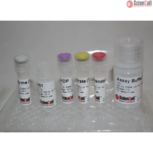 Glucose-6-phosphate Assay