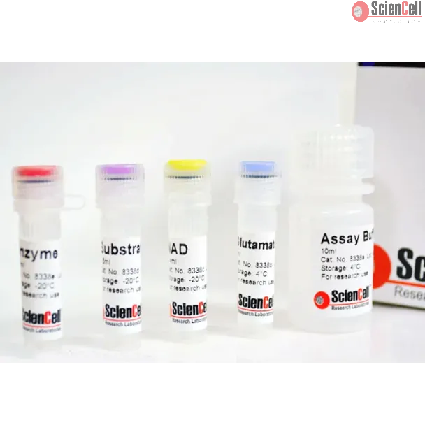 Glutamate Assay