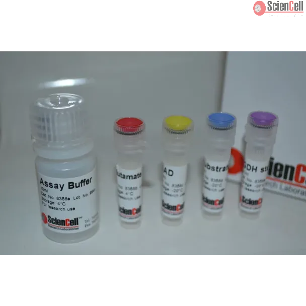 Glutamate Dehydrogenase Assay