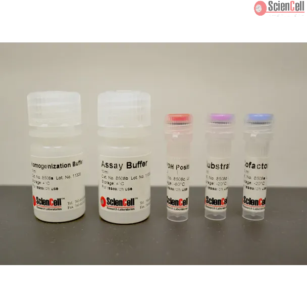 Glycerol-3-phosphate Dehydrogenase Assay