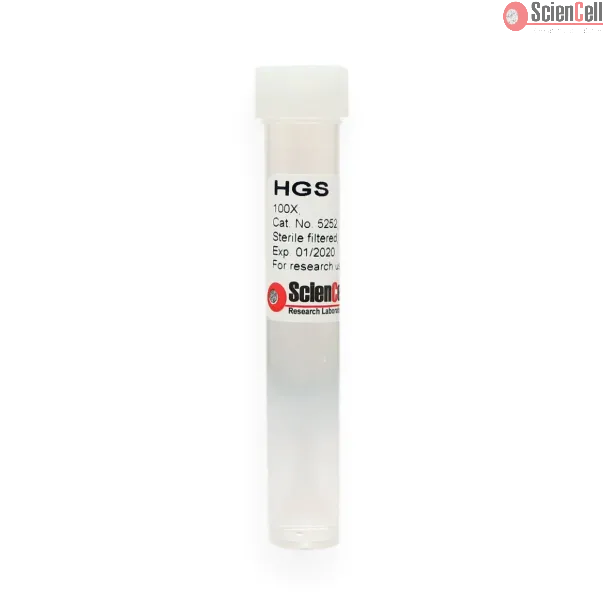 Hepatocyte Growth Supplement