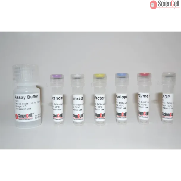Hexokinase Assay