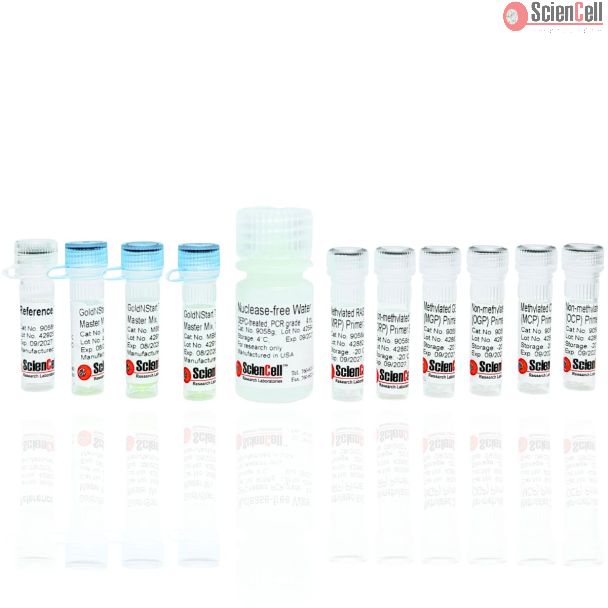 Human Cancer Promoter Methylation qPCR Assay Kit