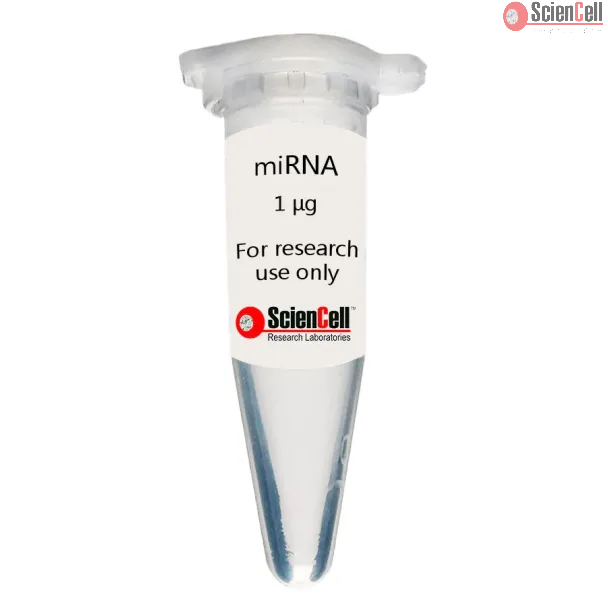 Human Hepatocyte MicroRNA
